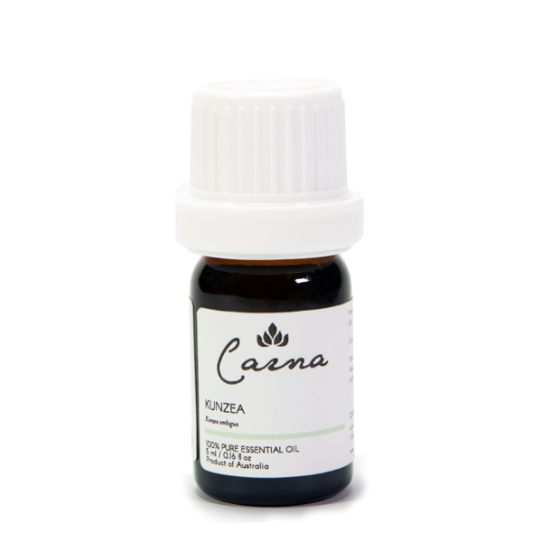 クンゼア - 精油 5ml